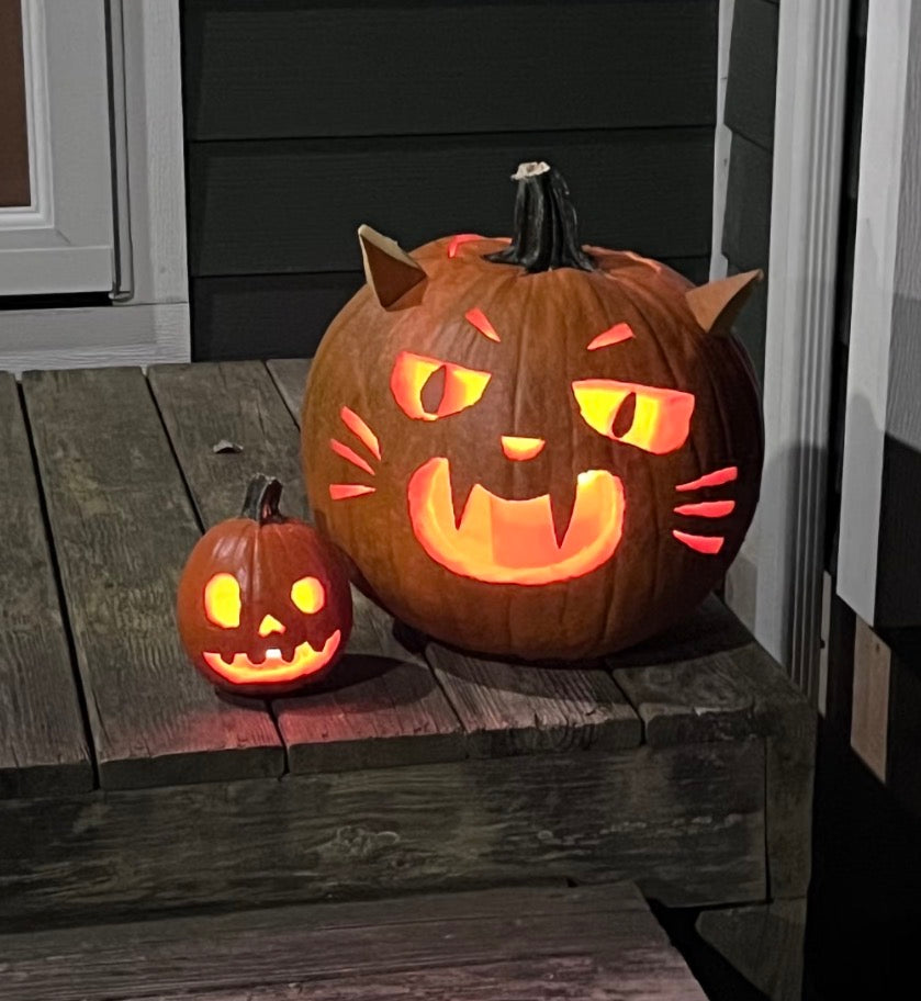 Halloween Pro D Camp Oct 23, 2026 in Port Coquitlam